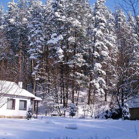 Holiday Home Tanevi Tryavna Ngoại thất bức ảnh